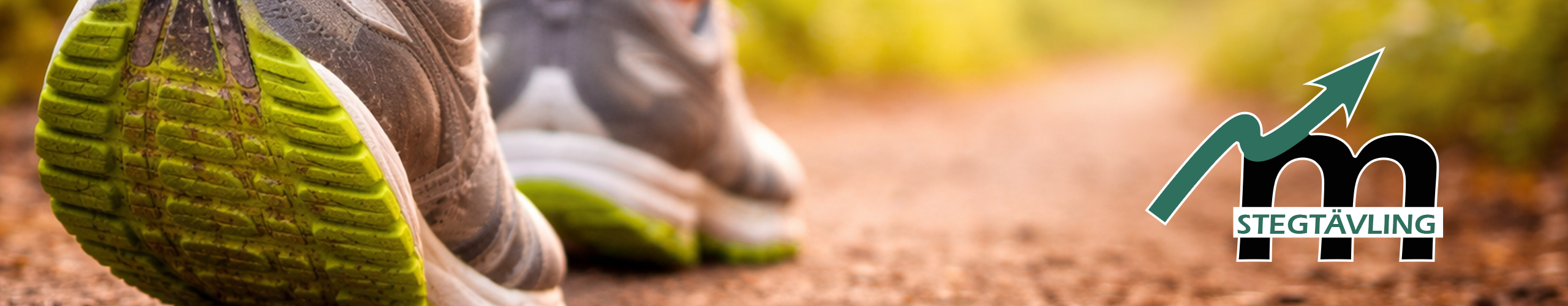 MaxPulsRACE.com - Stegtävling